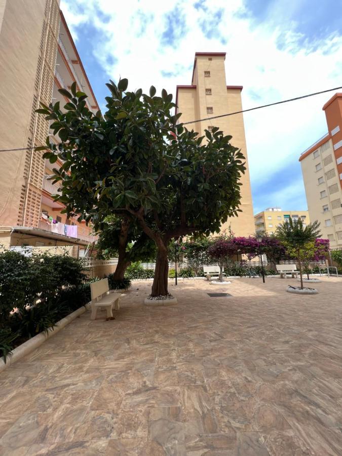 Ap Cande Playa De Gandia Exterior foto